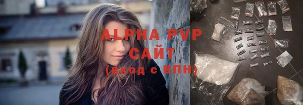 индика Осташков