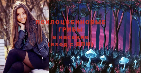 индика Остров